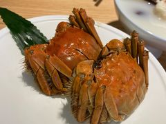 江南醉六月黄蟹-苏小柳点心·手作小笼包(新街口分院店)