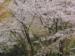 -中国茶叶博物馆(双峰馆区)