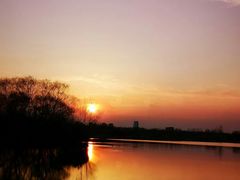 -大兴滨河森林公园