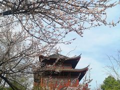 -堤角公园