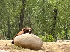 -北京野生动物园