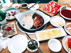 -青瓷火锅料理(西单大悦城店)