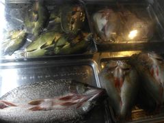 -布尔津河堤夜市