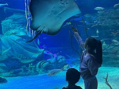 -沈阳海洋探索中心