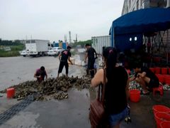 -蚝专家(北滘店)