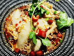 -青花椒花椒鱼(合生汇店)