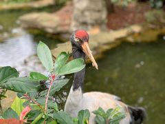 -云南野生动物园