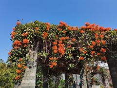 -广州神农草堂中医药博物馆