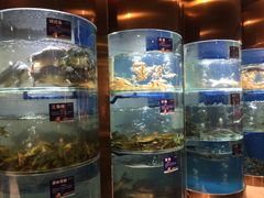 -香坝坝鲜鱼火锅(春熙路店)