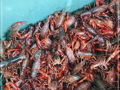 -庾氏龙虾馆(多弗汇店)