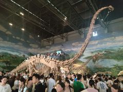 -自贡恐龙博物馆
