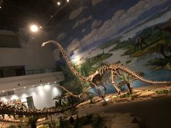 -自贡恐龙博物馆