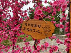 -北京凤凰岭