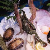 魔都新晋高逼格海鲜自助餐厅｜采极鲜🦞