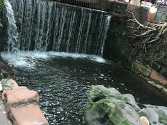 -黄龙溪古镇