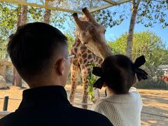 -大连森林动物园