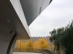 -对外经贸大学羽毛球馆