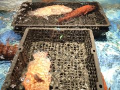 -喜宴又一村·粤菜·茶点·海鲜(壹方天地店)