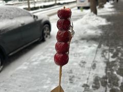 -金鼎轩(亚运村店)