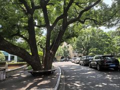 -上海兴国宾馆香樟园西餐厅