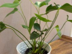 -香山湖渔家大院