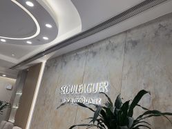 -上海首尔丽格医疗美容医院