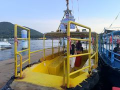 -蓝湾碧波·老字号·疍家非遗海上餐厅