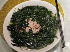 -鹅城