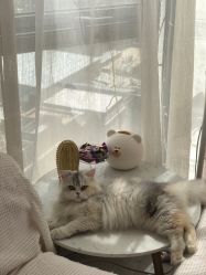 -Beauty Nails 美甲美睫皮肤管理