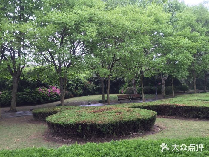 蠡湖中央公园图片