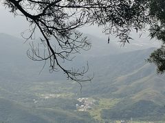 -梧桐山风景名胜区