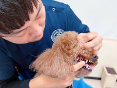 -美联众合动物医院·24h京西诊疗中心