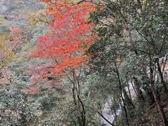 -燕子河大峡谷天坑仙境