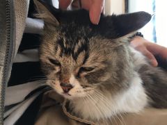 -五月木作·DIY木作文创体验店(北京路店)