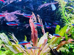 -上海海洋水族馆