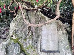 -杭州西湖风景名胜区-三生石