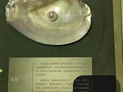 -诸暨博物馆