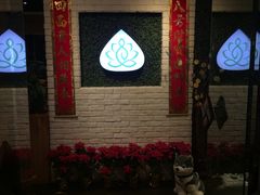 -菩提树·素食餐厅(汇智国际商业中心店)