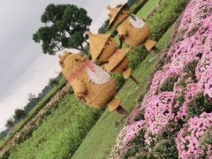 -嘉北郊野公园