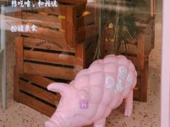-WHEN PIGS FLY当猪飞