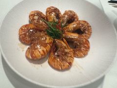 -侨美·唐荔园·40年地道粤菜