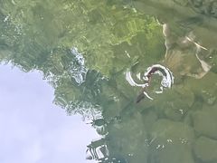 -乌山风景区