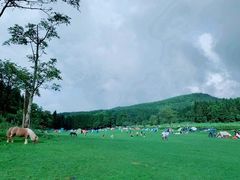 -武陵山森林公园