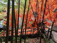 -石燕湖生态旅游景区