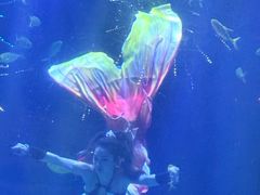 -华夏文旅西安度假区