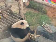 -大连森林动物园