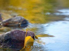 -于家石头村景区