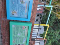 -厦门市日光幼儿园