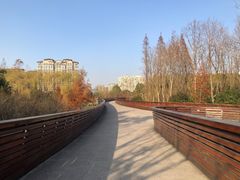 -昆山城市生态森林公园