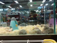 -乐宠宠物店(世纪金源店)